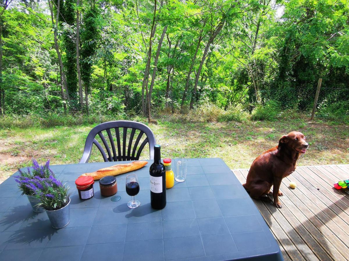 Camping Le Coin Charmant Chauzon エクステリア 写真